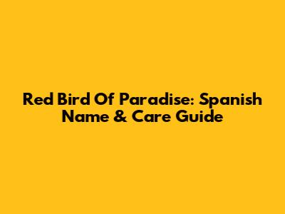 Red Bird Of Paradise: Spanish Name & Care Guide